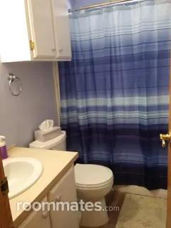 Room for rent in Mesa, AZ $800, other