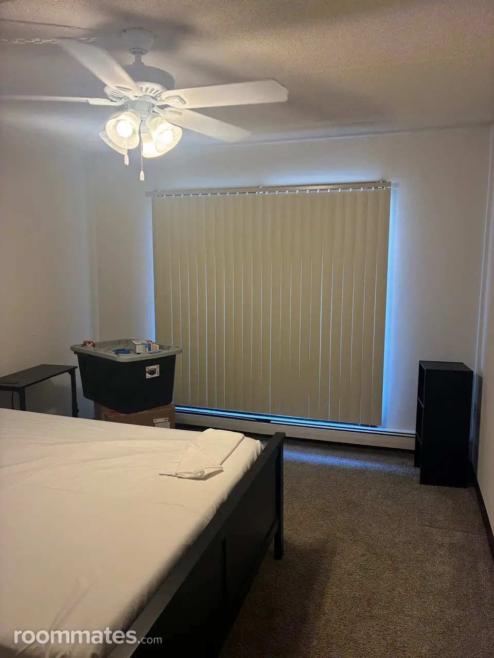 Profile photo 3 of 11