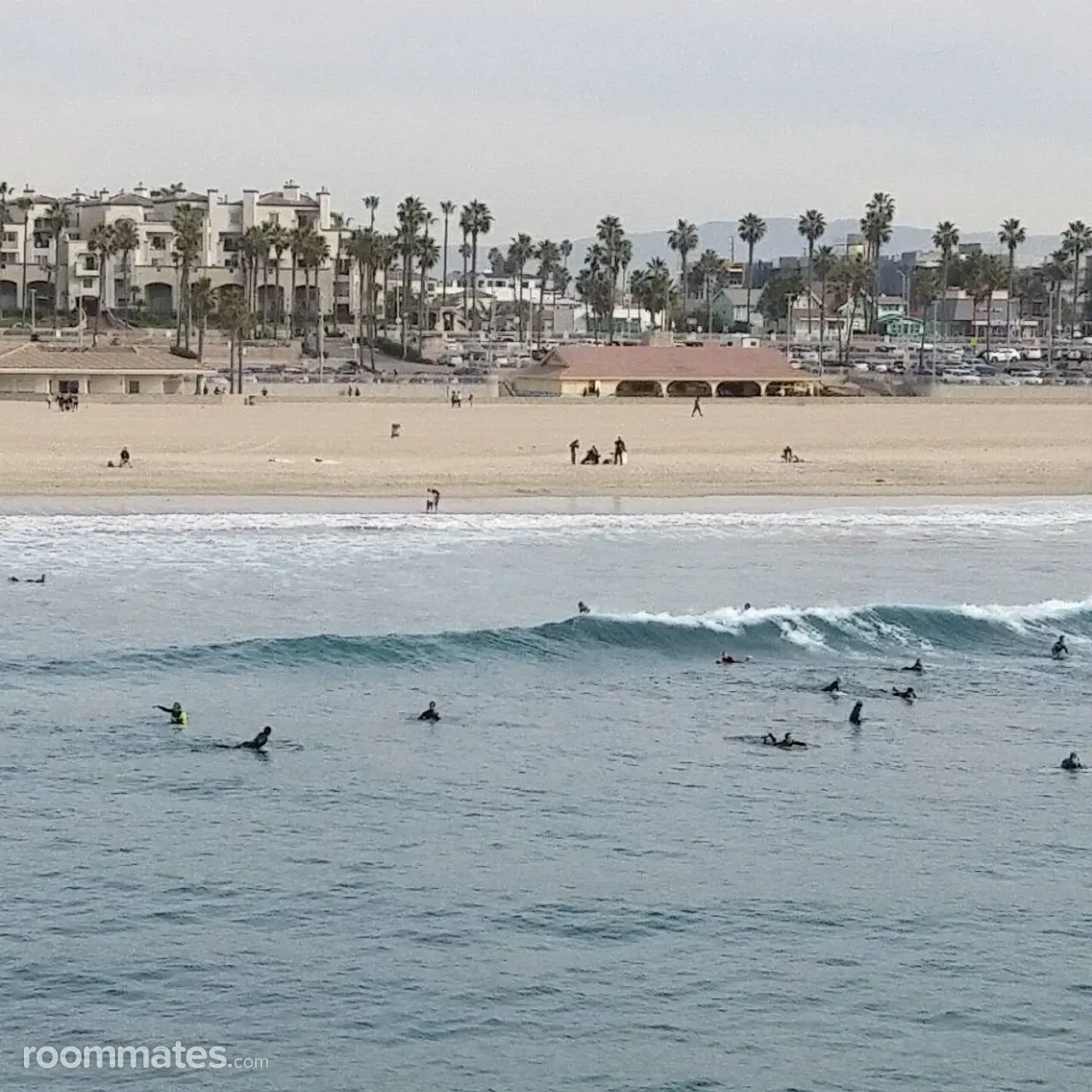 Profile photo 2 of 4