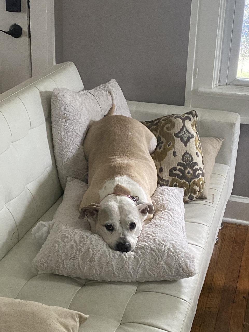 Profile photo 13 of 19