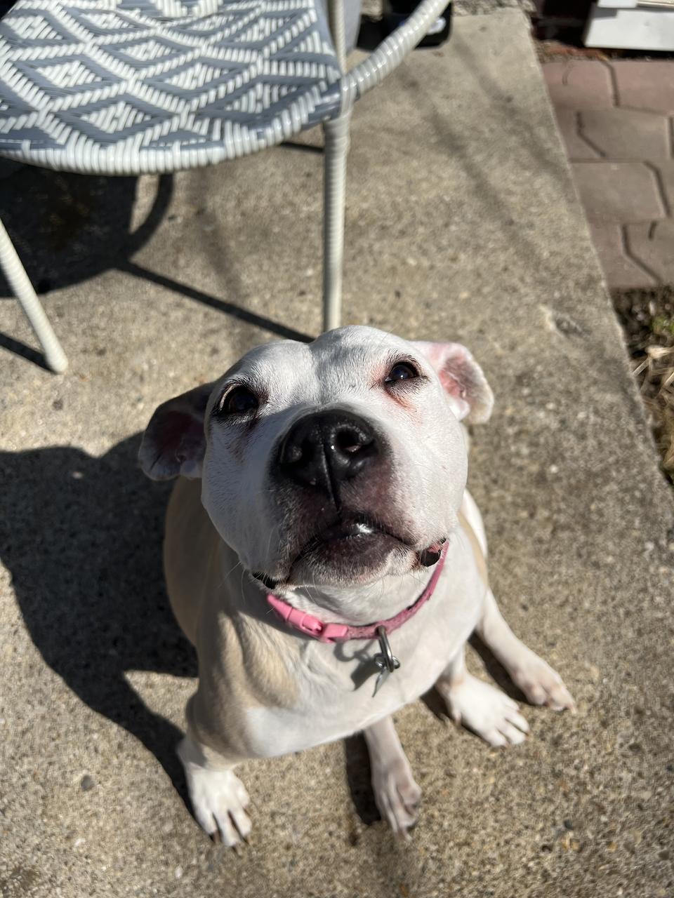 Profile photo 15 of 19