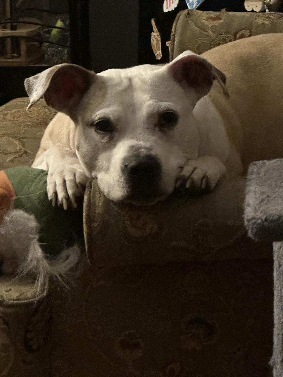 Profile photo 14 of 19