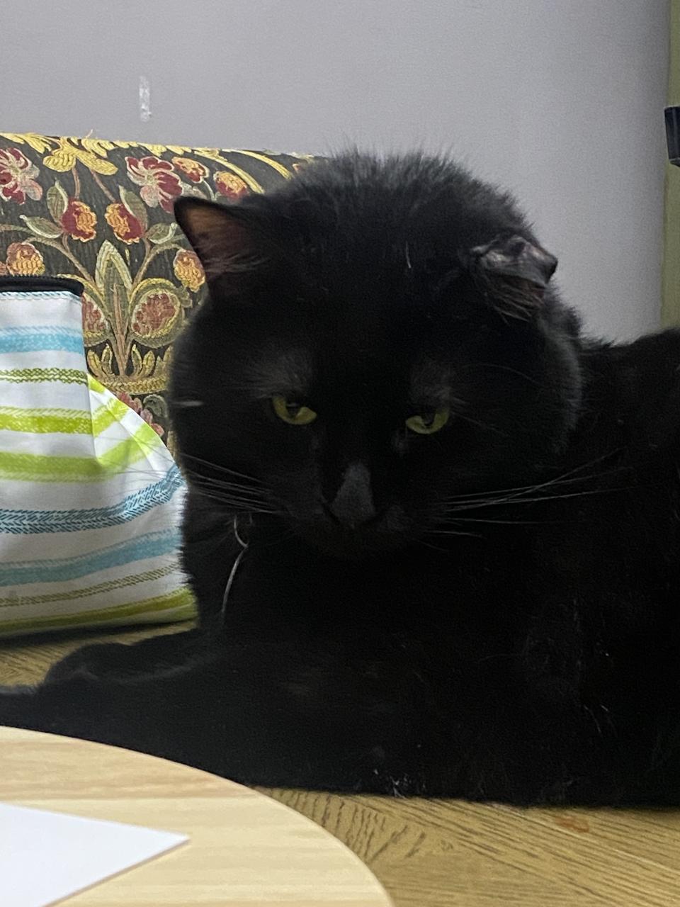 Profile photo 18 of 19