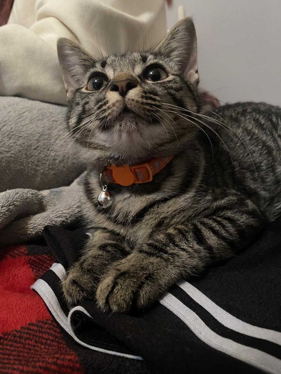 Profile photo 17 of 19