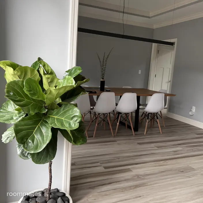Room for rent in Knoxville, TN $875, house