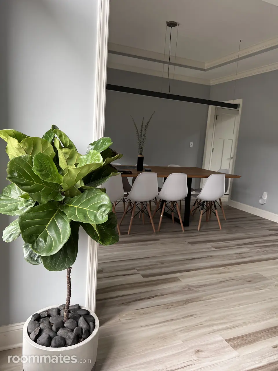 Profile photo 1 of 11