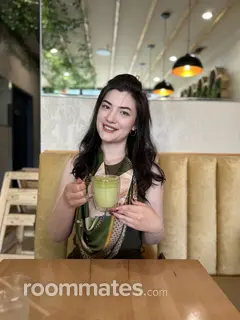 Roommate looking Mount Prospect, IL, $1000