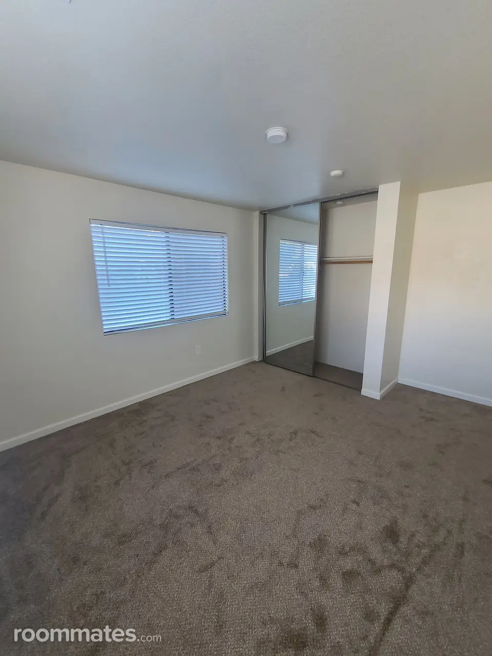 Profile photo 7 of 8