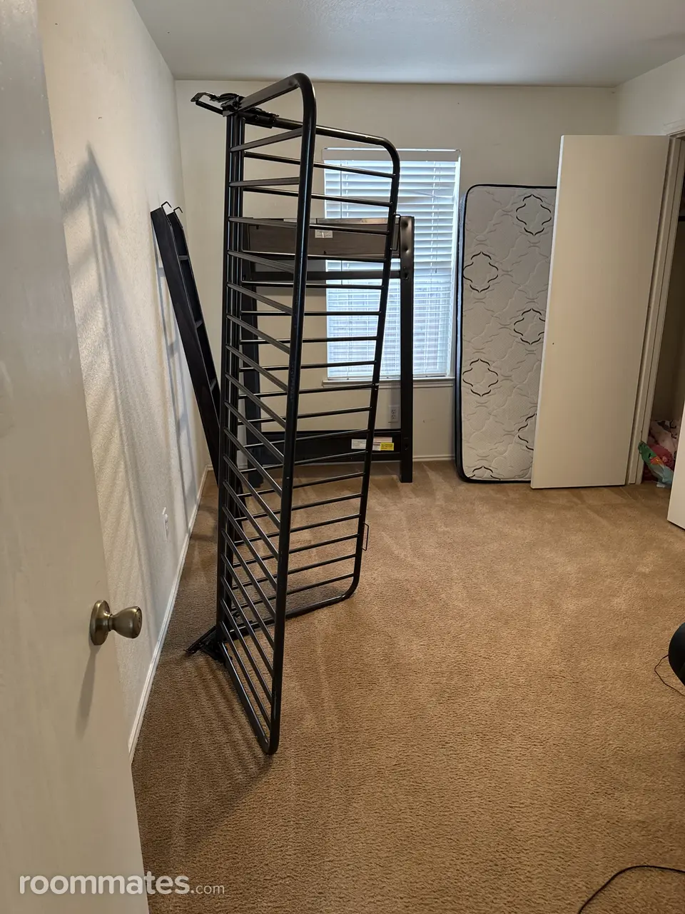 Profile photo 3 of 4