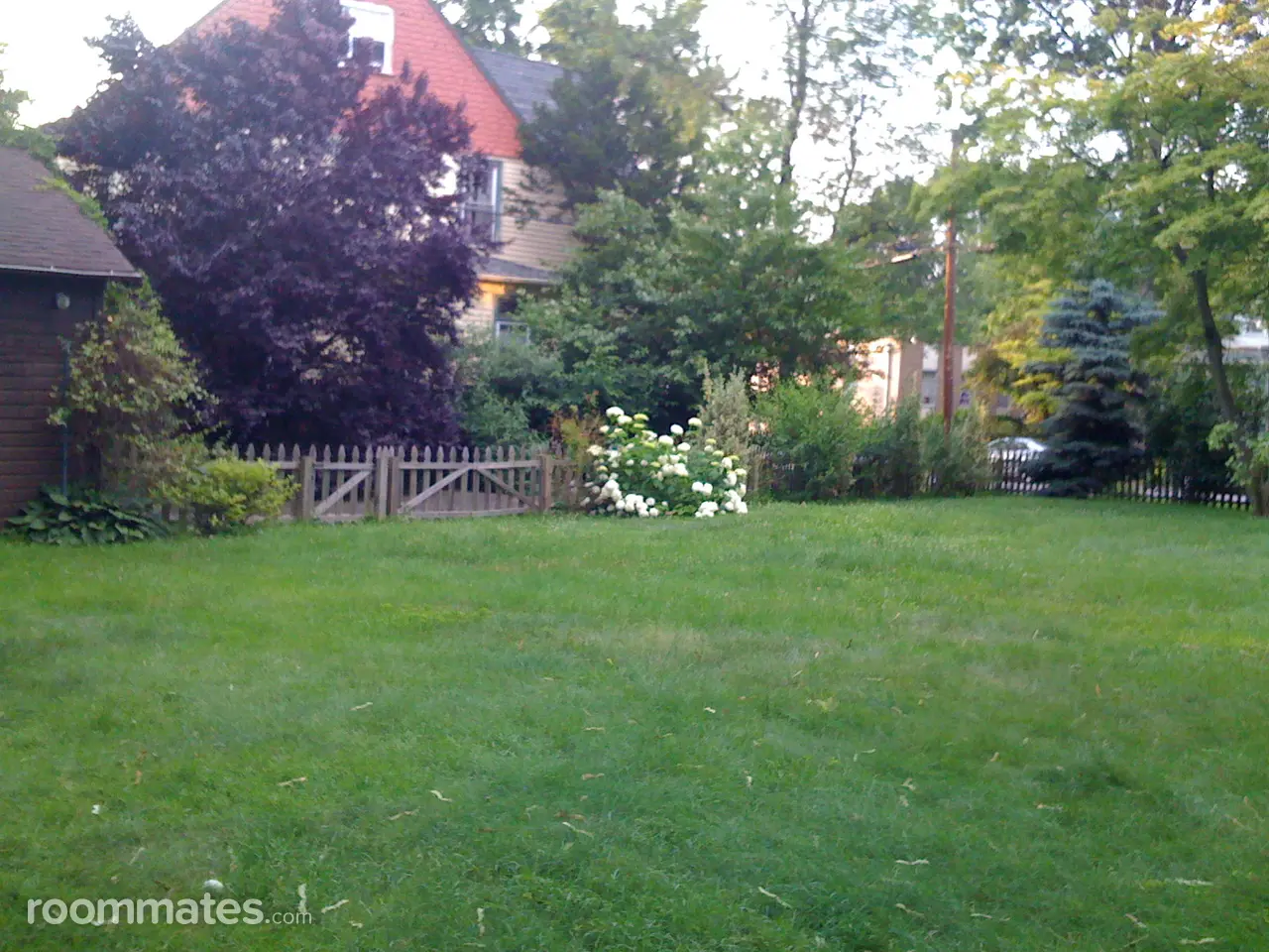 Profile photo 2 of 3