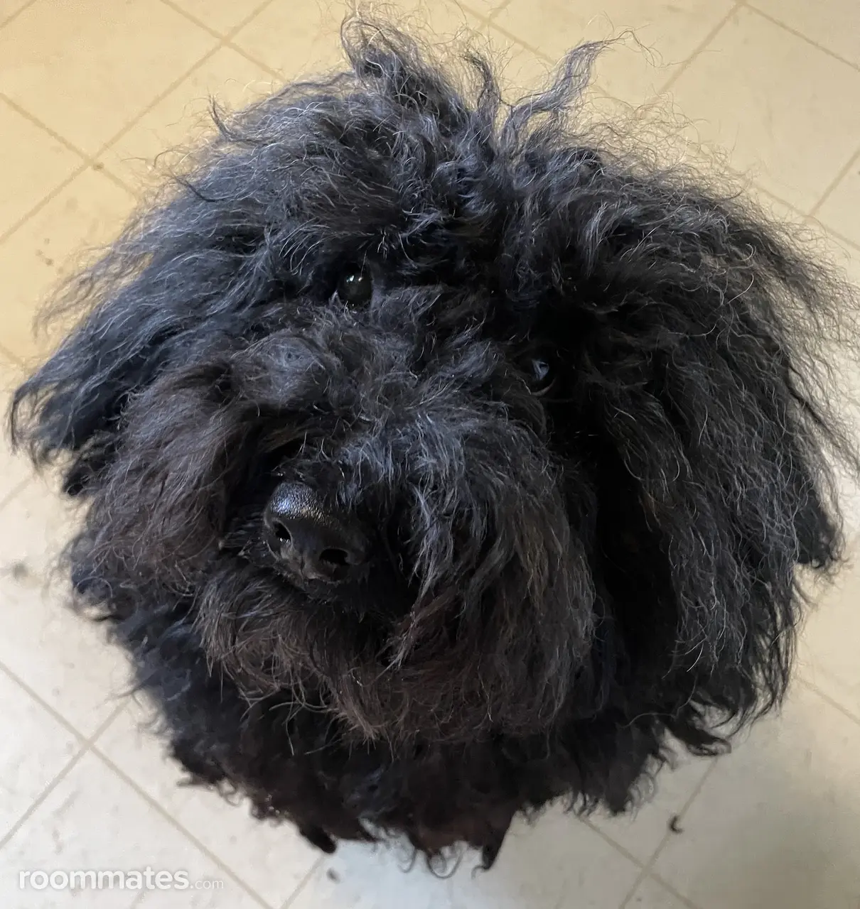 Profile photo 3 of 3