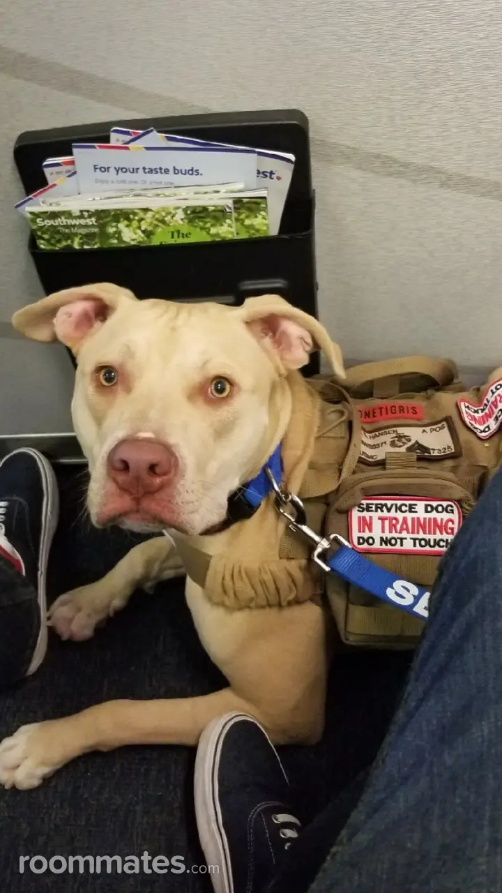 Profile photo 2 of 8