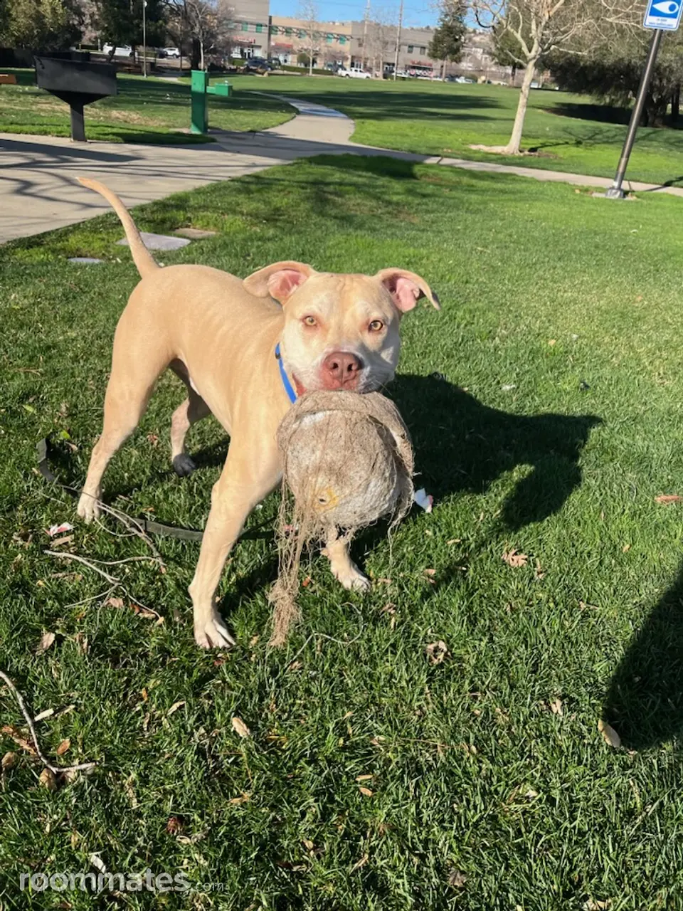 Profile photo 3 of 8