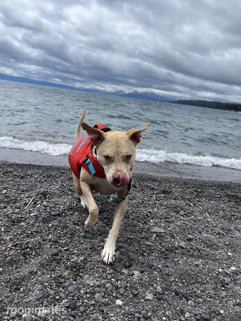 Profile photo 6 of 8