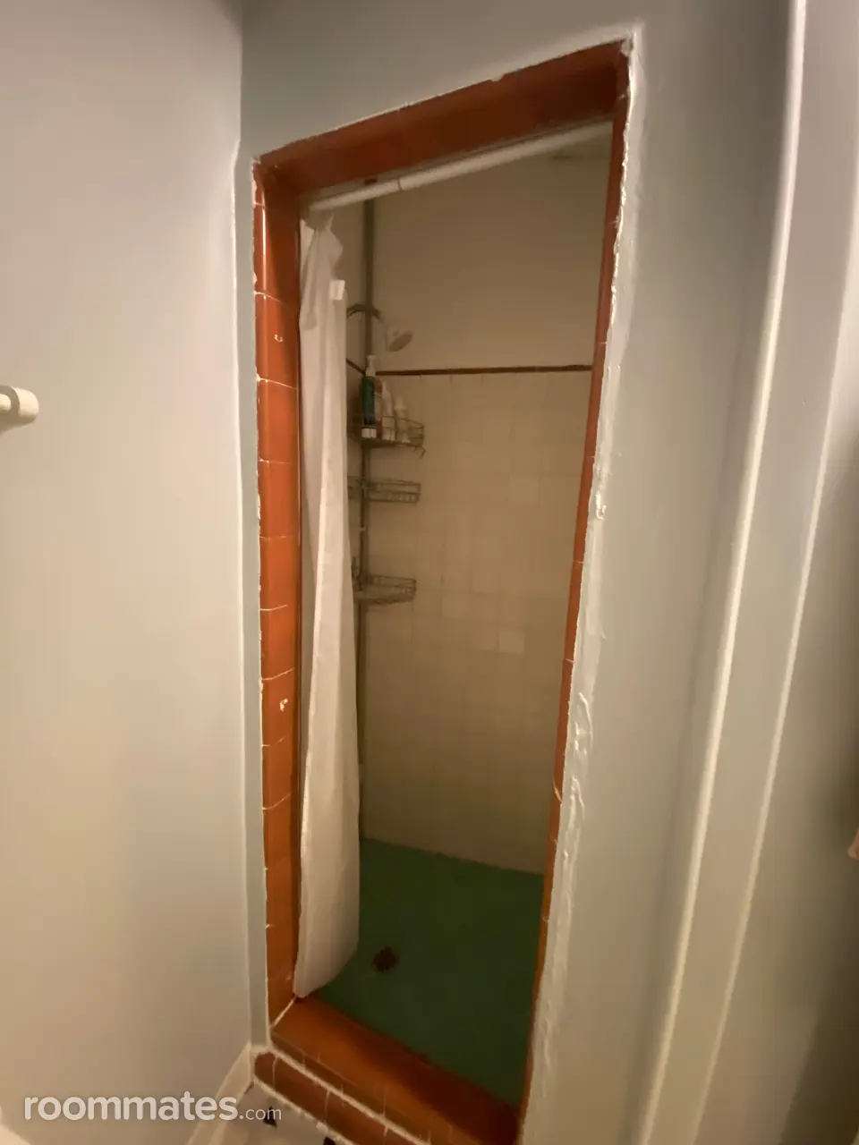 Profile photo 9 of 11