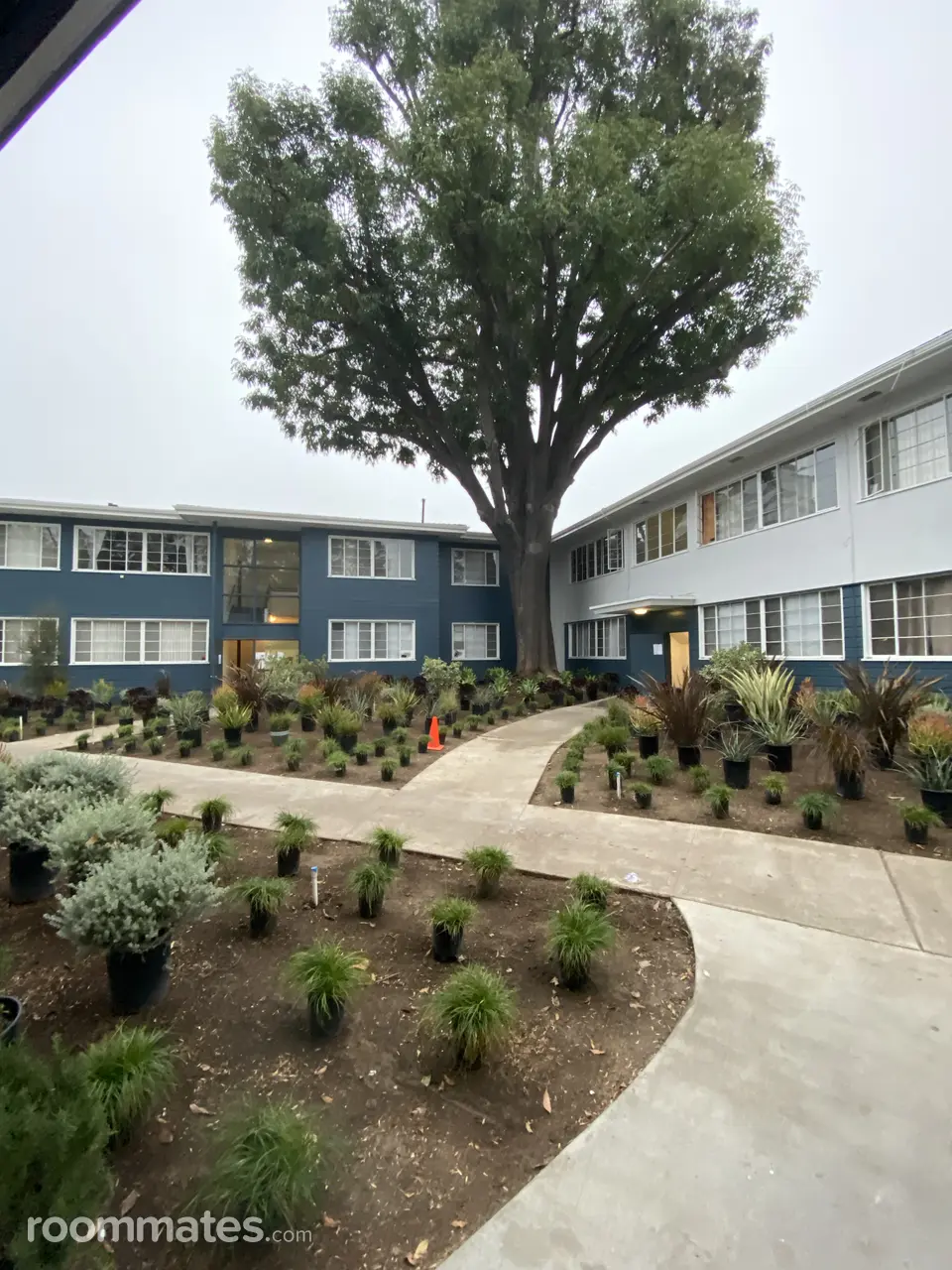 Profile photo 4 of 11