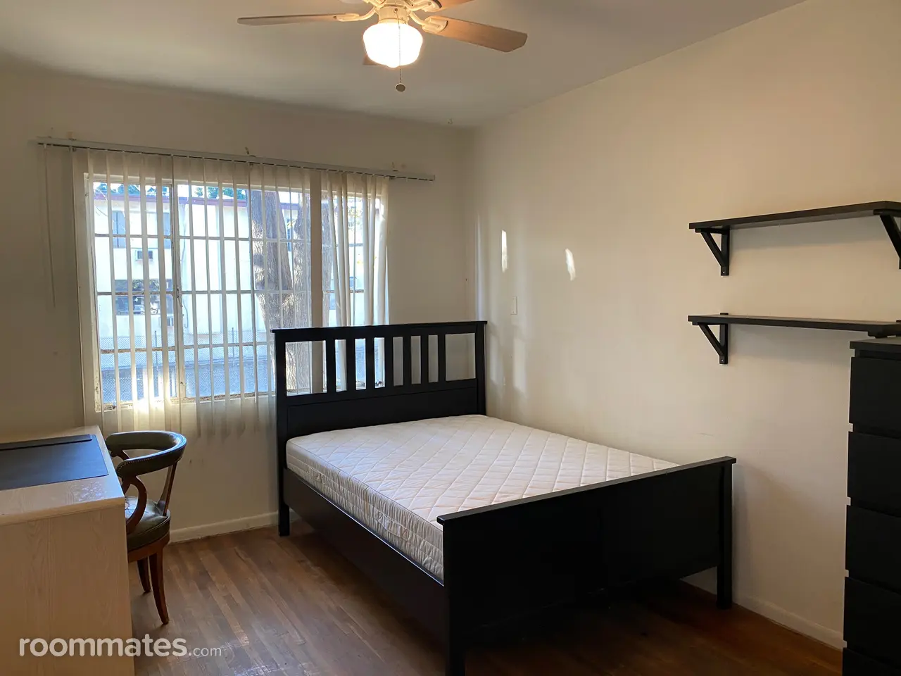 Profile photo 3 of 11