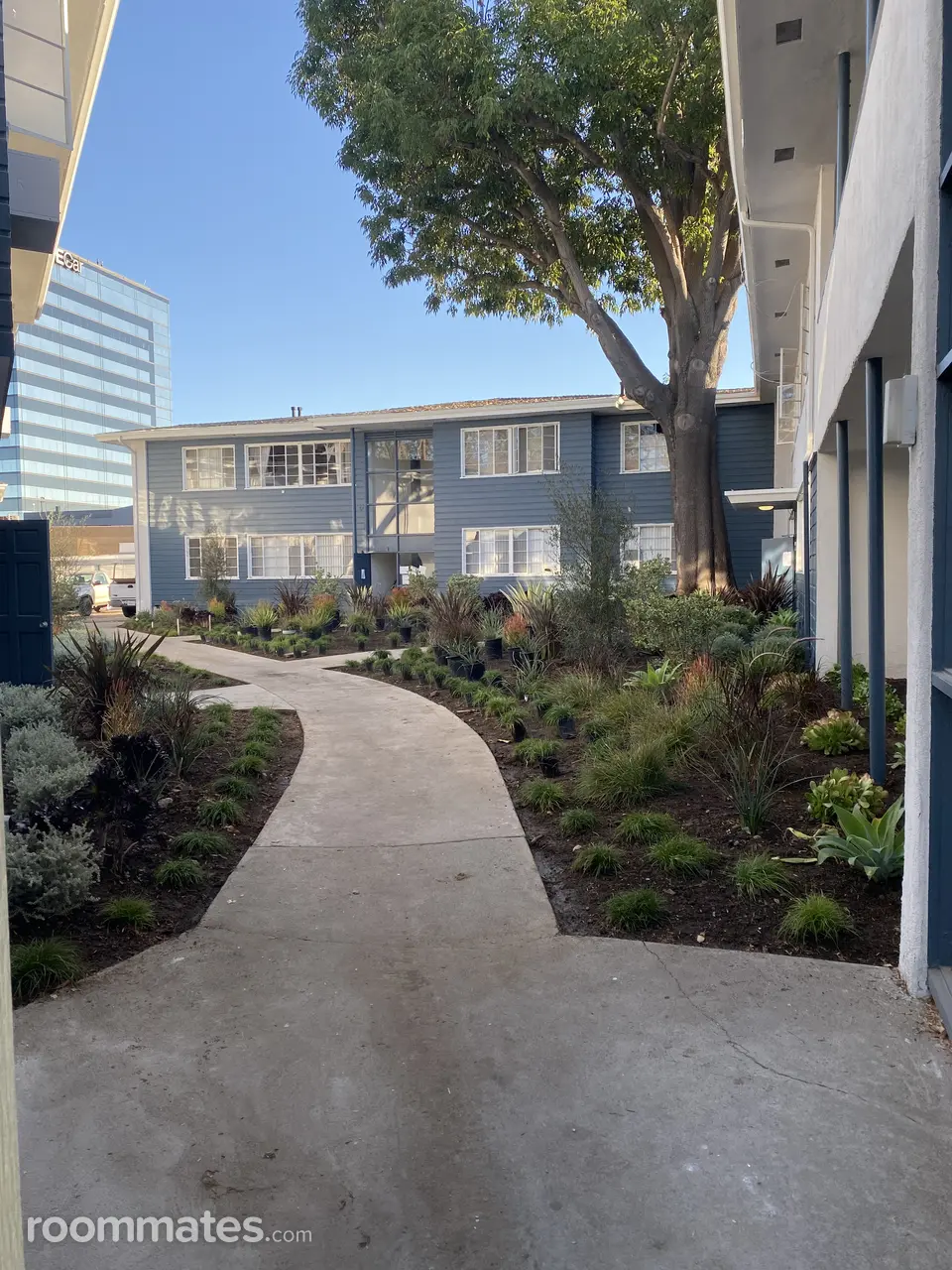 Profile photo 10 of 11