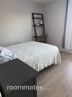 Room for rent in St. Petersburg, FL $950, condo