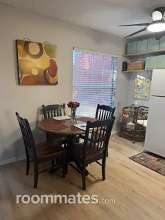 Room for rent in St. Petersburg, FL $950, condo