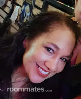 Roommate looking Schaumburg, IL, $700