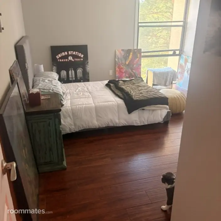 Room for rent in Denver, CO $1200, condo