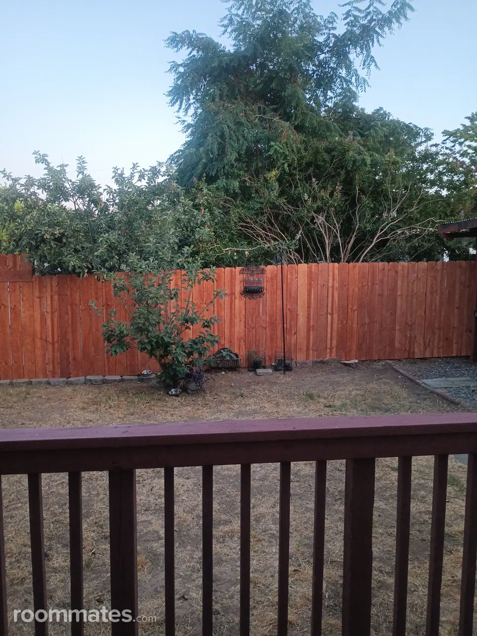 Profile photo 6 of 11