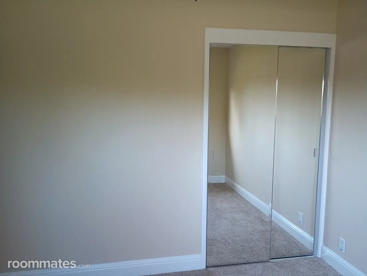 Profile photo 5 of 11