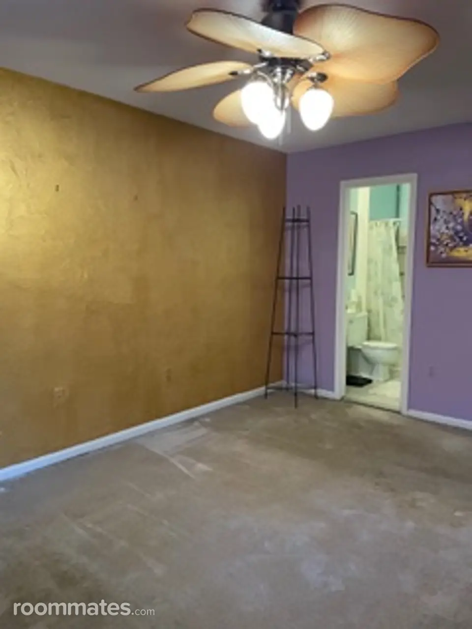 Profile photo 2 of 7