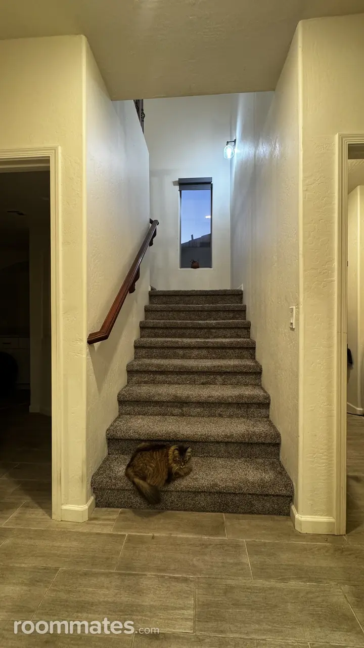 Profile photo 9 of 10