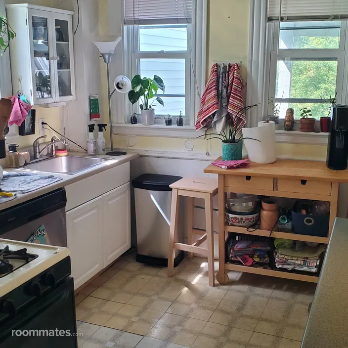 Room for rent in Brighton, MA $1000, apartment