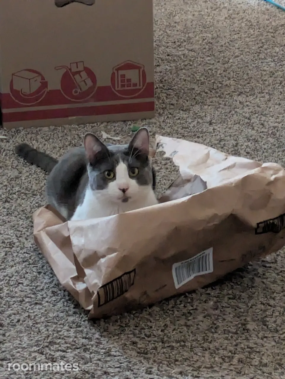 Profile photo 17 of 21