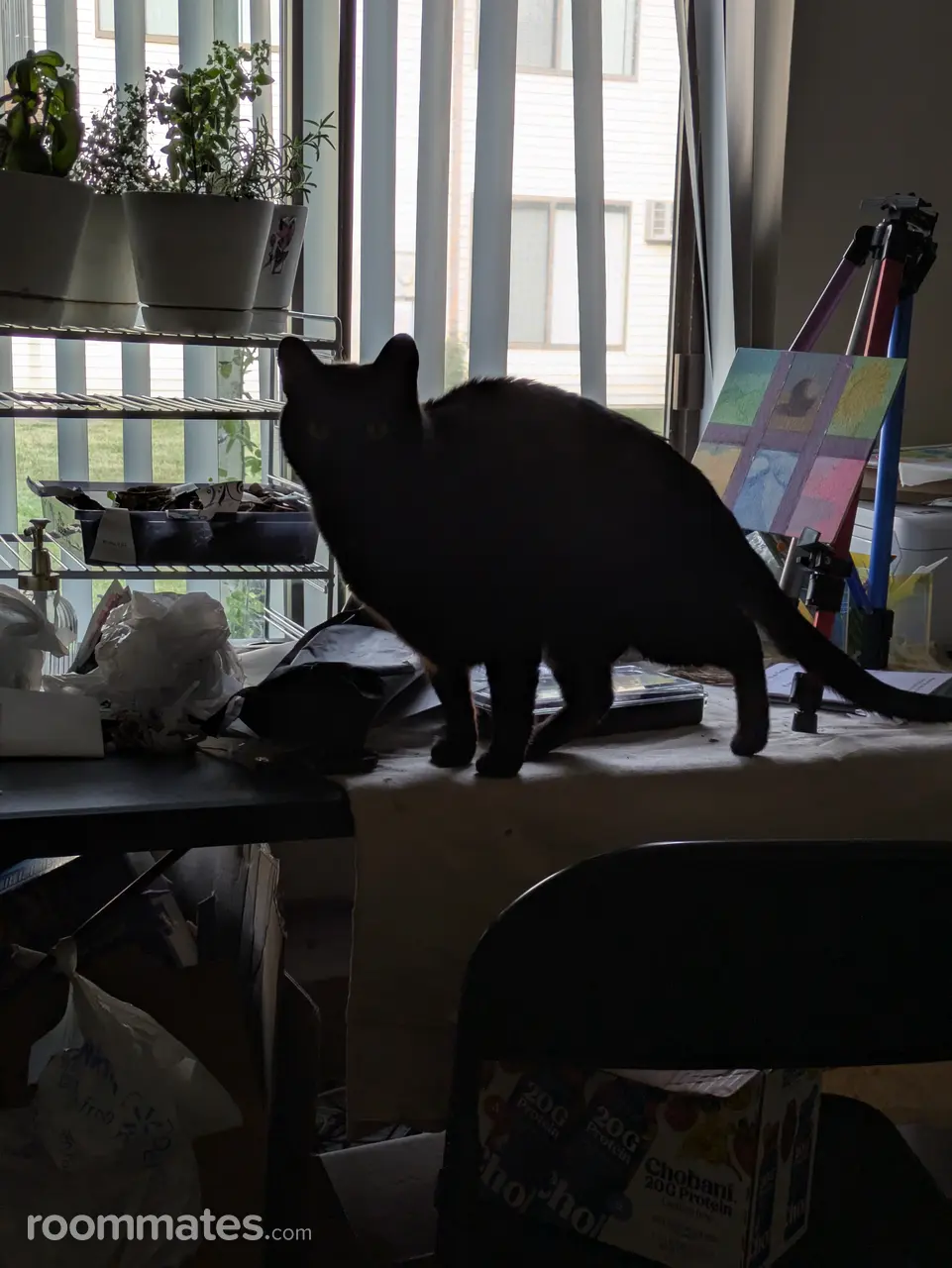 Profile photo 13 of 21