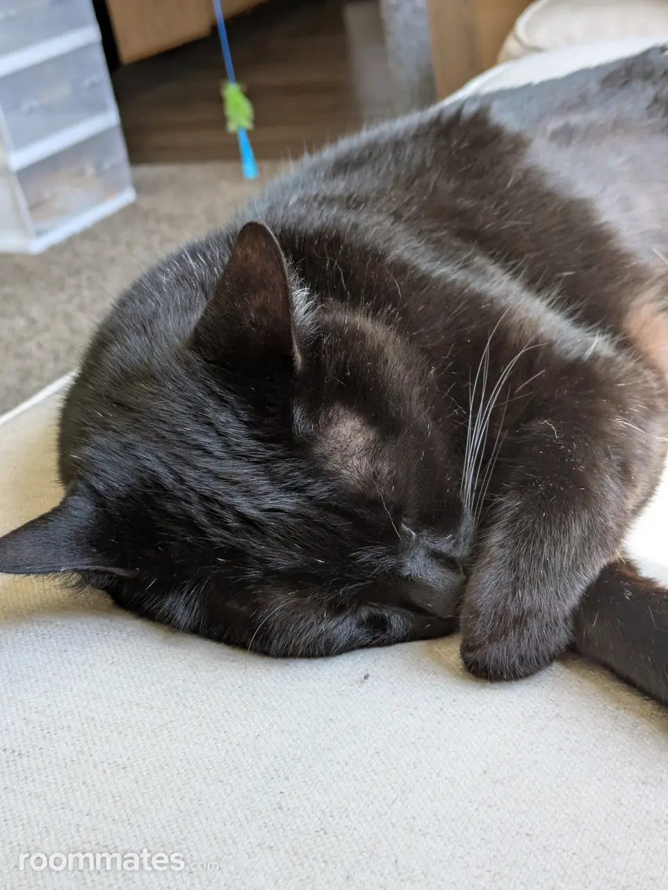 Profile photo 12 of 21