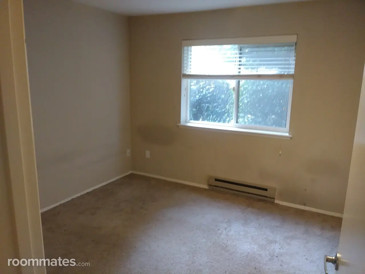 Profile photo 5 of 6