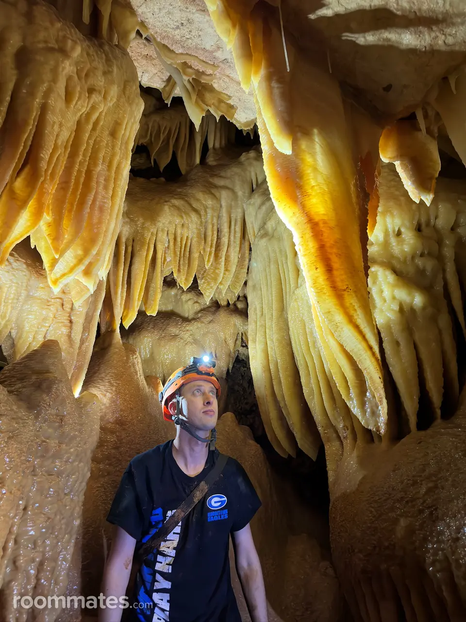 Profile photo 4 of 6