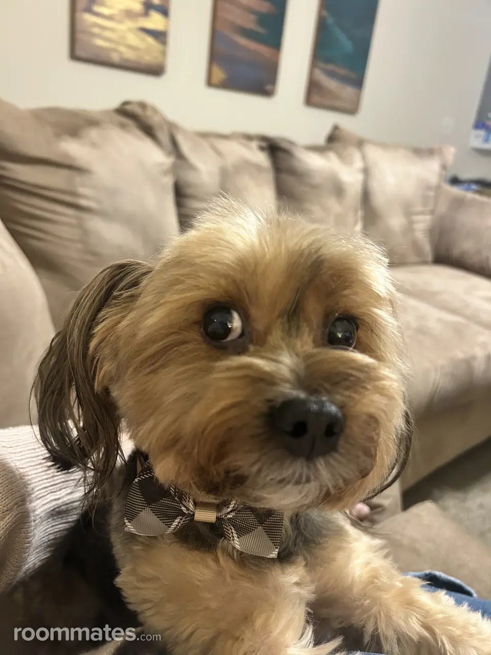 Profile photo 1 of 5