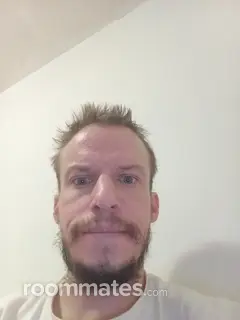 Roommate looking St. Paul, MN, $700