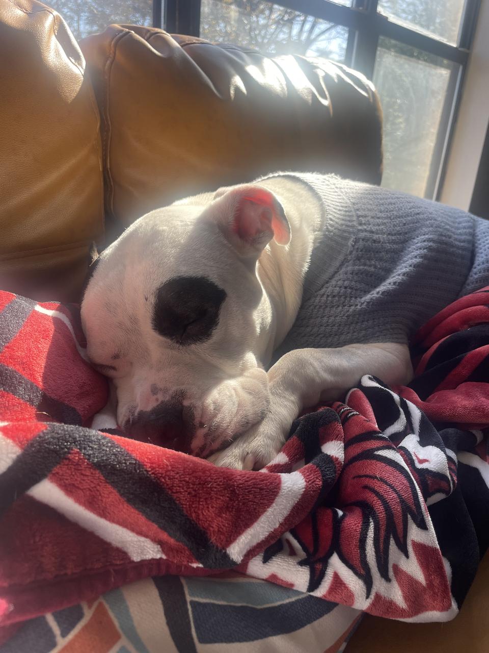 Profile photo 1 of 2