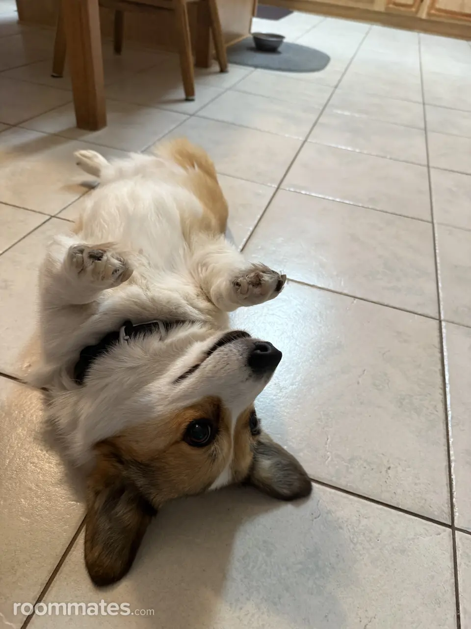 Profile photo 3 of 3