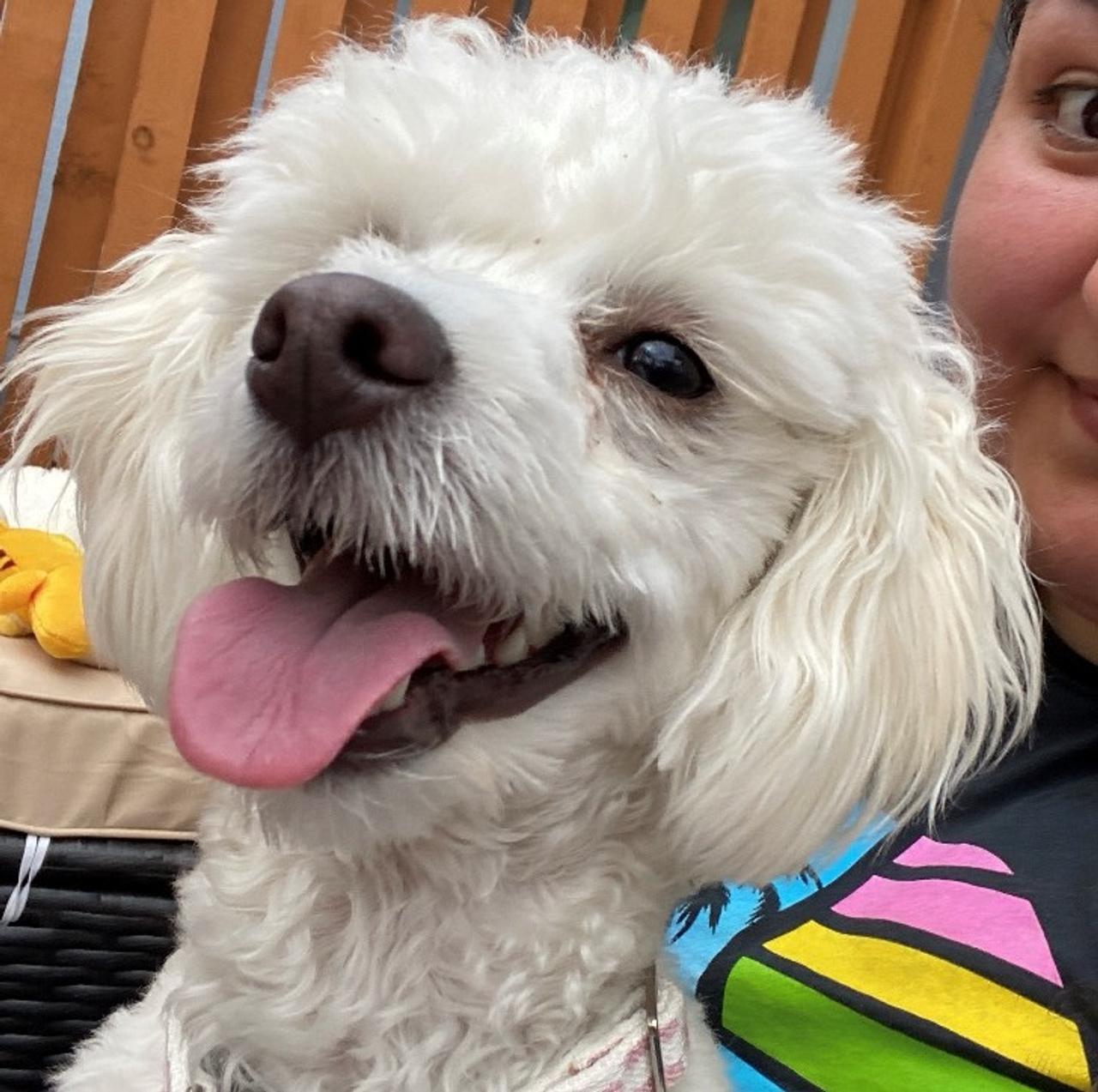 Profile photo 10 of 10