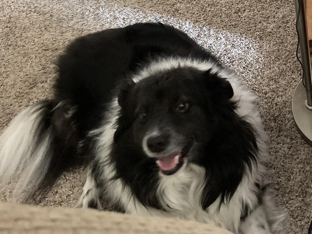 Profile photo 14 of 16