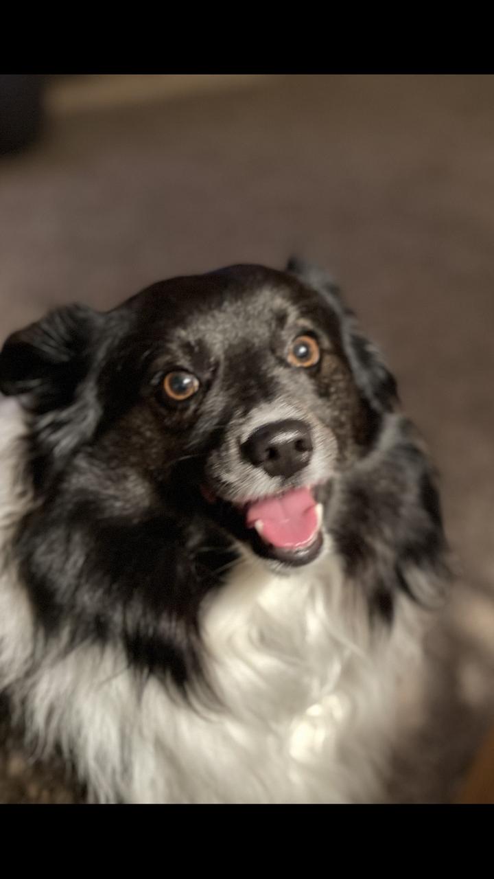 Profile photo 7 of 16