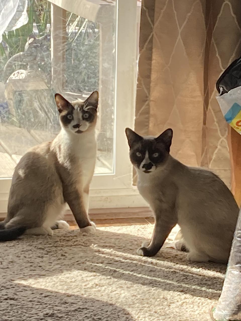 Profile photo 6 of 16