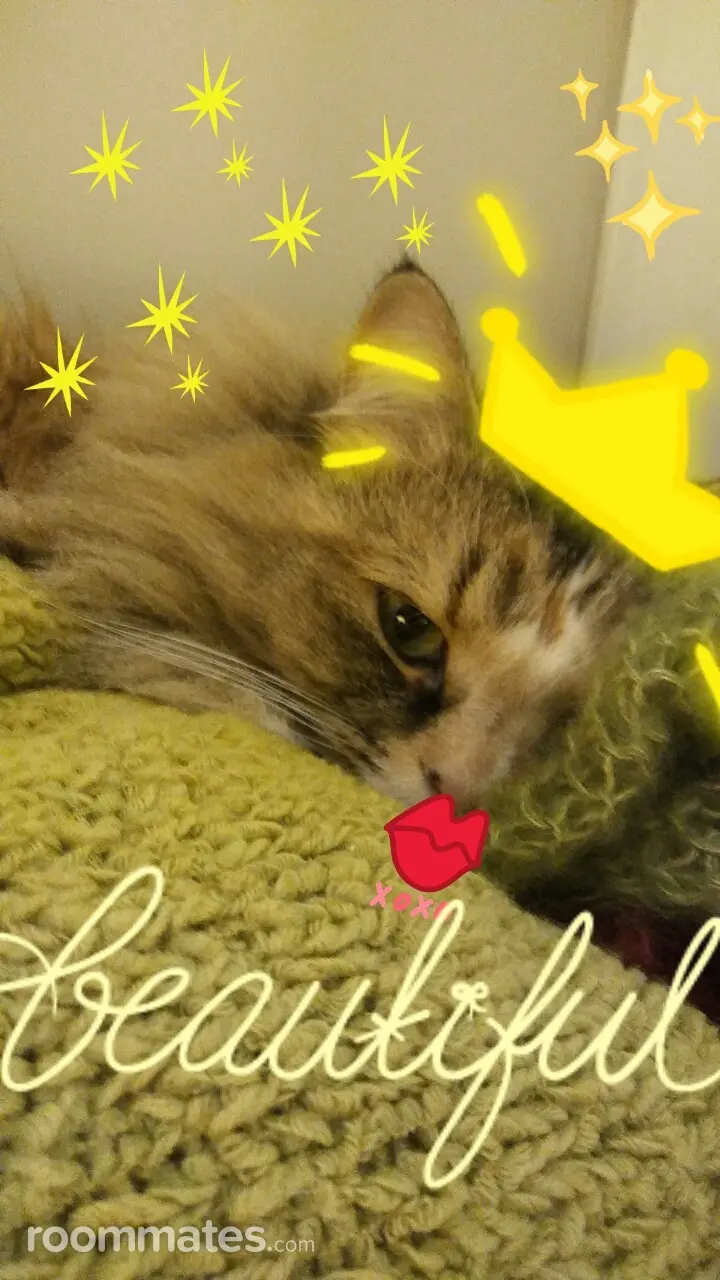 Profile photo 5 of 8