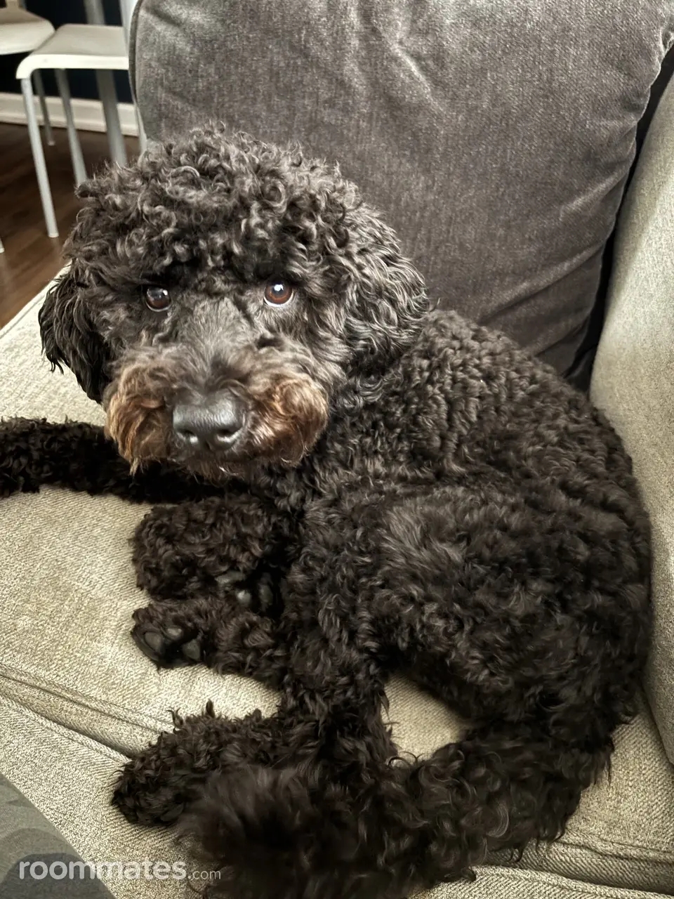 Profile photo 8 of 10