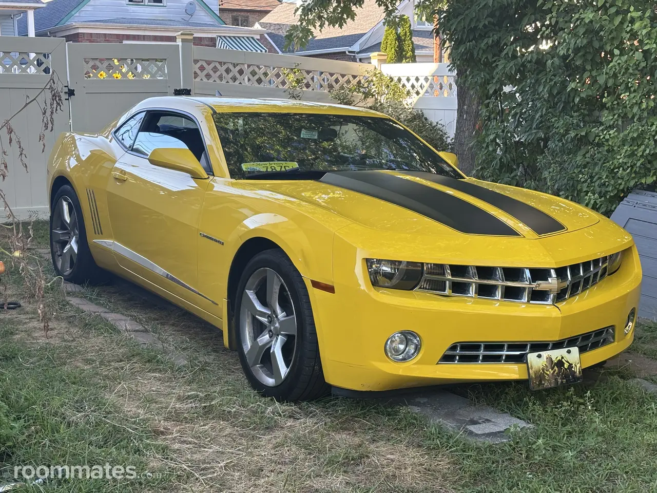 Profile photo 3 of 11