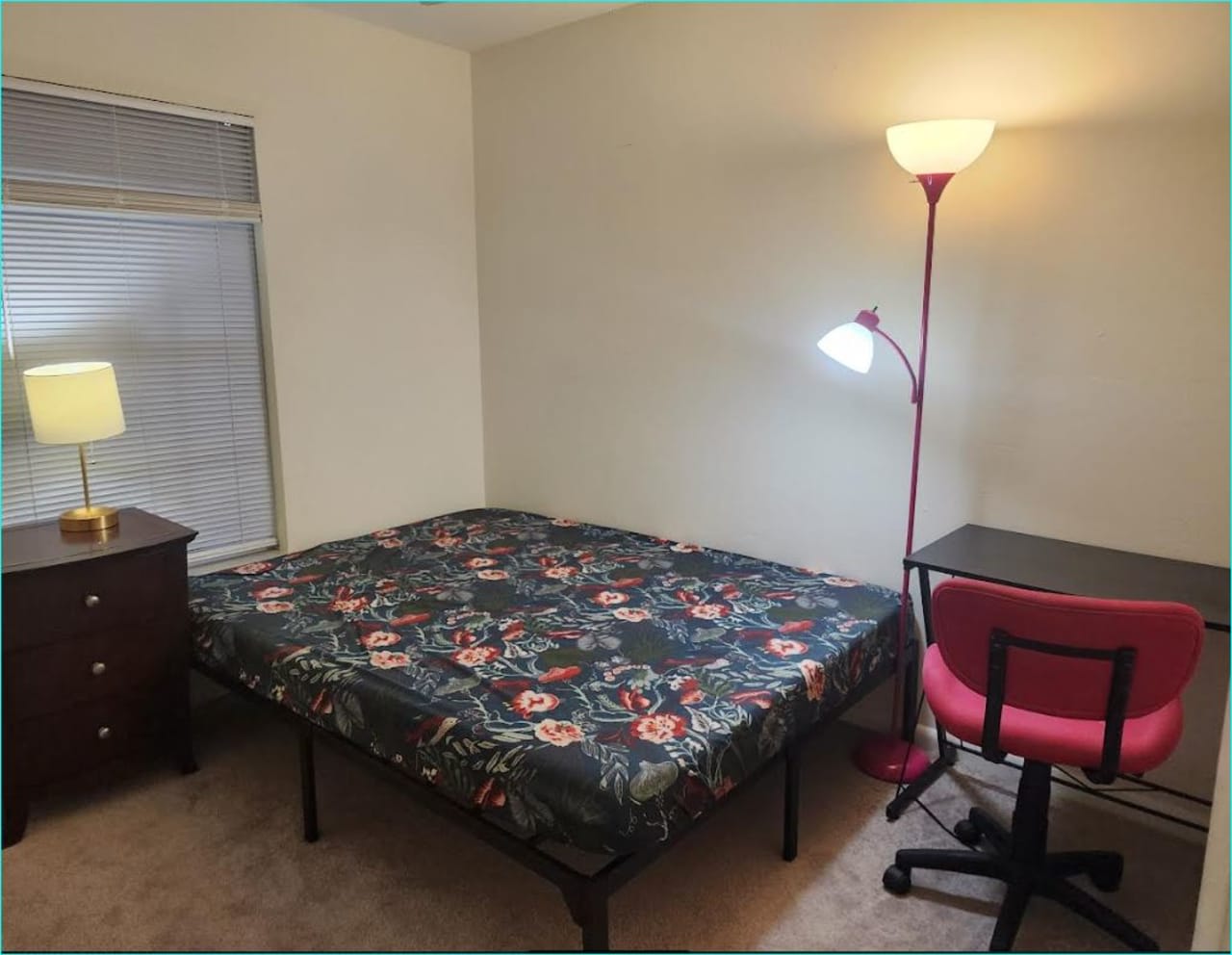 Profile photo 4 of 7