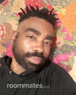 Roommate looking Saint Louis, MO, $800