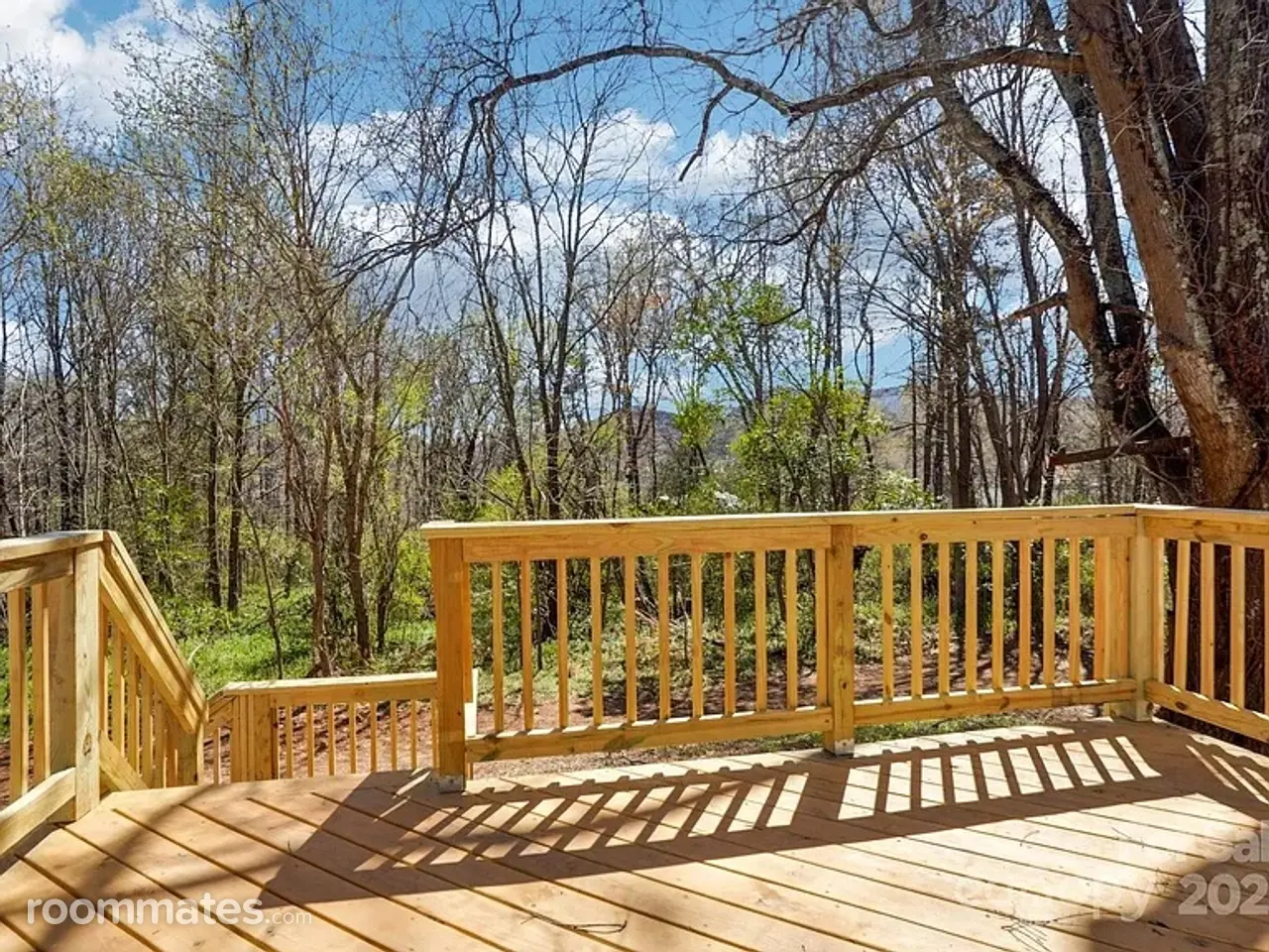 Profile photo 10 of 11